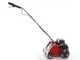 Escarificador de bater&iacute;a Einhell GC-SC 36/31 - 18 V - 2x 4 Ah