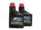 Eurosystems RTT2 SR - Motocultor de gasolina - Honda GP160 - 4.8HP 