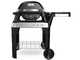 Weber Pulse 2000 - Barbacoa el&eacute;ctrica con carro