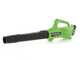 Soplador axial de bater&iacute;a Greenworks G24ABO
