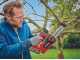 Einhell Fortexxa 18/20 TH - Motosierra de poda de bater&iacute;a 18 V 2.5 Ah