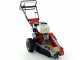 Benassi FR280 - Destoconadora - Motor Honda GX390 - Rotor con 12 fresas