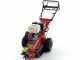 Benassi FR280 - Destoconadora - Motor Honda GX390 - Rotor con 12 fresas