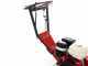 Benassi FR280 - Destoconadora - Motor Honda GX390 - Rotor con 12 fresas