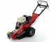 Benassi FR280 - Destoconadora - Motor Honda GX390 - Rotor con 12 fresas