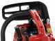 GeoTech GMS 25-25 - Motosierra de mezcla de poda - Espada de 25 cm