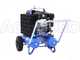 KIT Motocompresor Campagnola MC 658 7HP + 2 Vareadores neum&aacute;ticos Tuono Evo