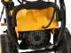 DeWalt DXPW 004E - Hidrolimpiadora monof&aacute;sica profesional - 120 bar - 600 l/h