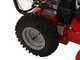 Snapper H1732ES - Quitanieves de gasolina - B&amp;S 1650 Snow