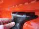 Top Line MF 140 - Trituradora para tractor - Serie media 