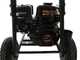 Hidrolimpiadora de gasolina AgriEuro Top-Line CXD 10/220- Motor Loncin G200F