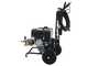 Hidrolimpiadora de gasolina AgriEuro Top-Line EWD-K 15/310 - Motor Loncin G390F