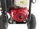 Hidrolimpiadora de gasolina AgriEuro Top-Line EWD-K 15/310 - Motor Honda GX 390