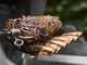 Espet&oacute;n el&eacute;ctrico para Barbacoa Weber Spirit