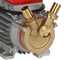 Rover 20 By-Pass - Bomba el&eacute;ctrica de trasiego de bronce - Monof&aacute;sica - 230 V