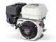 Motobomba de fumigaci&oacute;n de gasolina Comet  MTP P40/20 SC 4T - motor Honda GP 160 - versi&oacute;n para &aacute;cidos y productos qu&iacute;micos