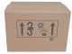 Eurosystems M210 - Motosegadora de doble cuchilla - B&amp;S 625