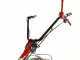 Eurosystems M210 - Motosegadora de doble cuchilla - B&amp;S 625