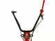 Eurosystems M210 - Motosegadora de doble cuchilla - B&amp;S 625