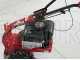 Eurosystems M210 - Motosegadora de doble cuchilla - B&amp;S 625