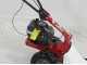 Eurosystems M210 - Motosegadora de doble cuchilla - B&amp;S 625