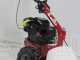 Eurosystems M210 - Motosegadora de doble cuchilla - B&amp;S 625