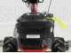 Eurosystems M210 - Motosegadora de doble cuchilla - B&amp;S 625