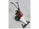 Eurosystems M210 - Motosegadora de doble cuchilla - B&amp;S 625