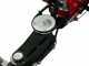 Eurosystems M210 - Motosegadora de doble cuchilla - B&amp;S 625