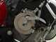 Lampacrescia MGM TTR560 - Desbrozadora de ruedas con martillos - Honda GX160