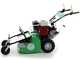 Lampacrescia MGM TTR560 - Desbrozadora de ruedas con martillos - Honda GX160