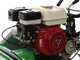 Lampacrescia MGM TTR560 - Desbrozadora de ruedas con martillos - Honda GX160