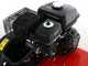 Benassi BL365 C - Motoazada de gasolina 7 HP - Motor Hwasdan H170F