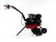 Benassi BL365 C - Motoazada de gasolina 7 HP - Motor Hwasdan H170F