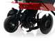 Benassi BL365 C - Motoazada de gasolina 7 HP - Motor Hwasdan H170F
