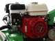 Lampacrescia MGM TTR580/S - Desbrozadora de martillos - Honda GX200
