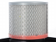 Ribimex Cenetop - Aspirador de cenizas 18L - 1200W