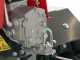 Barbieri B/68 NT - Motoazada de gasolina 5.5 HP - Motor Honda GX160