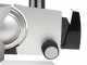Graef SKS 321 SILVER GLASS - Cortadora de fiambre con cuchilla de 170 mm