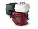 Barbieri RED - Motocultor de gasolina - Honda GX160 - 4.8HP
