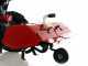 Barbieri Flex 3+2 - Motocultor di&eacute;sel  - Karma KM178F - 6HP