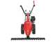 Barbieri C/60 - Motosegadora multifunci&oacute;n - Honda GX160