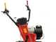 Ginko MGM FC 759 - Motosegadora multifunci&oacute;n - Honda GX390