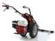 Ginko MGM FC 754 E - Motosegadora multifunci&oacute;n - Honda GX160