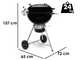 Weber Master Touch Premium SE E-5775 BLK - Barbacoa de carb&oacute;n