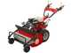 Ginko TT790 - Desbrozadora de ruedas profesional de martillos - Motor Honda GX270