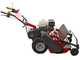 Ginko TT790 - Desbrozadora de ruedas profesional de martillos - Motor Honda GX270