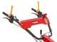 Ginko TT790 - Desbrozadora de ruedas profesional de martillos - Motor Honda GX270