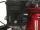 Ginko TT790 - Desbrozadora de ruedas profesional de martillos - Motor Honda GX270