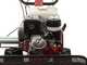 Ginko TT790 - Desbrozadora de ruedas profesional de martillos - Motor Honda GX270